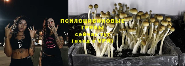 таблы Алексеевка