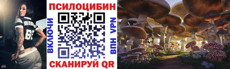 блэк спрут tor  площадка наркотические препараты  Луза  Псилоцибиновые грибы ЛСД  хочу  
